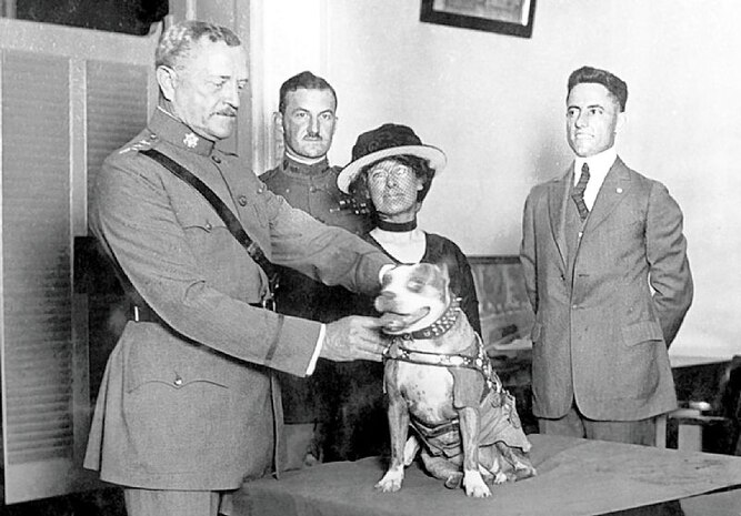 Gen. John Pershing awards Sgt. Stubby with a gold medal in 1921. Stubby served in 17 battles and fought in four major allied offensives during WWI. (Photo courtesy of Smithsonian Institution’s National Museum of American History) 