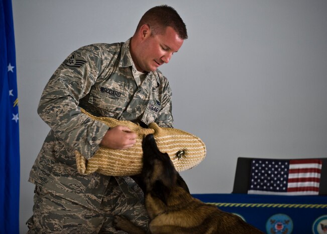 Staff Sgt. Andrew Woodard, 99th Security Forces Military Working Dog handler, conducts a MWD demonstration for Retiree Appreciation Day at the Thunderbirds’ Hangar Sept. 13, 2013, at Nellis Air Force Base, Nev.  Military working dogs undergo daily training to handle a wide range of situations they might encounter while on patrol or deployed. (U.S. Air Force photo by Airman 1st Class Jason Couillard)