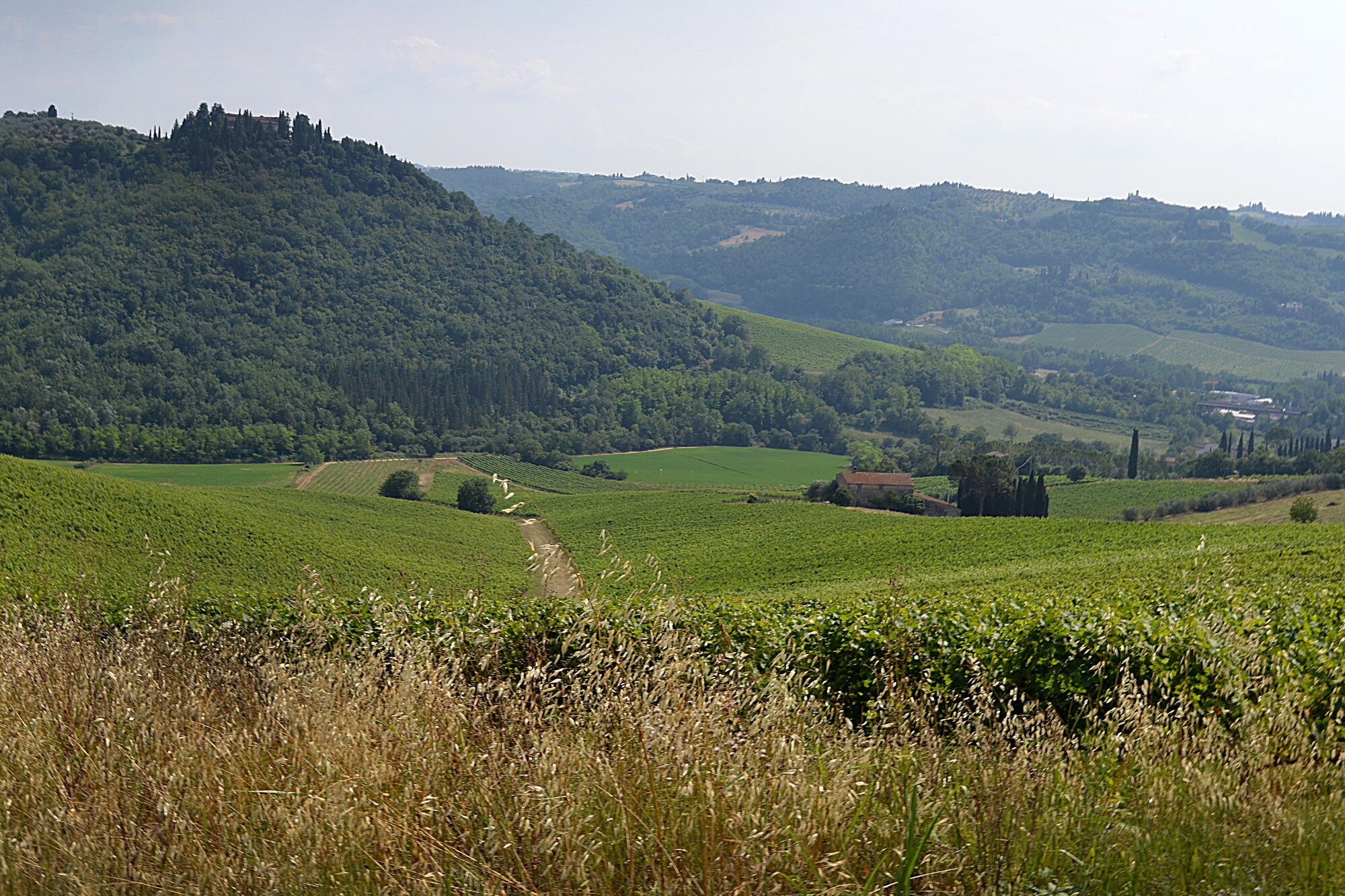 The Chianti region in the Tuscan countryside offers a picturesque scenery
with perfectly aligned vineyards and olive groves. (U.S. Air Force
photo/Staff Sgt. Evelyn Chavez)
