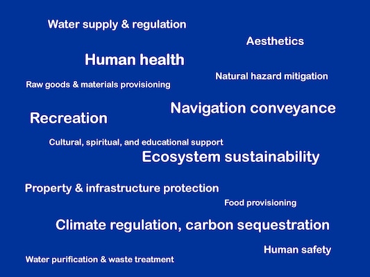 List of ecosystem services considered in the "Using Information on Ecosystem Goods and Services in Corps Planning" report: Ecosystem sustainability; Natural hazard mitigation, property & infrastructure protection, human safety; Recreation; Navigation conveyance; Aesthetics; Water supply & regulation; Water purification & waste treatment; Raw goods & materials provisioning; Food provisioning; Cultural, spiritual, and educational support; Climate regulation, carbon sequestration; Human health