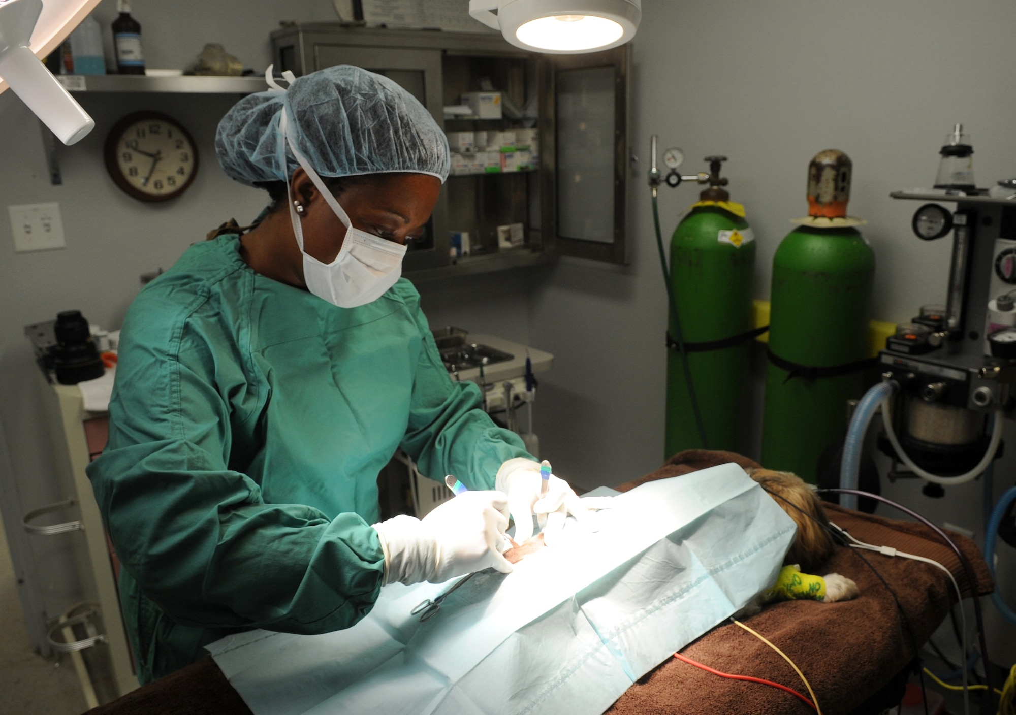 Dr. Arnetha Brooks, Veterinary Treatment Facility veternarian, removes a mass from a dog during surgery Aug. 22, 2013, at Little Rock Air Force Base, Ark. The dog had a growth removed, which is one of the clinics routine surgeries that is offered. (U.S. Air Force photo by Staff Sgt. Caleb Pierce) 