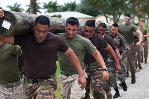 Marines with Marine Rotational Force Darwin run with logs over their shoulders alongside infantry platoons from the Tongan Defence Service and the French Armed Forces New Caledonia during a log-run competition as part of Exercise Tafakula 2013 at Taliai Military Camp, Kingdom of Tonga, Sept. 2, 2013. The purpose of the exercise is to enhance interoperability and improve U.S. military-to-military relations with the Tongan Defence Service and the French Armed Forces New Caledonia.(U.S. Marine Corps photo by Lance Cpl. Nathan Knapke) 