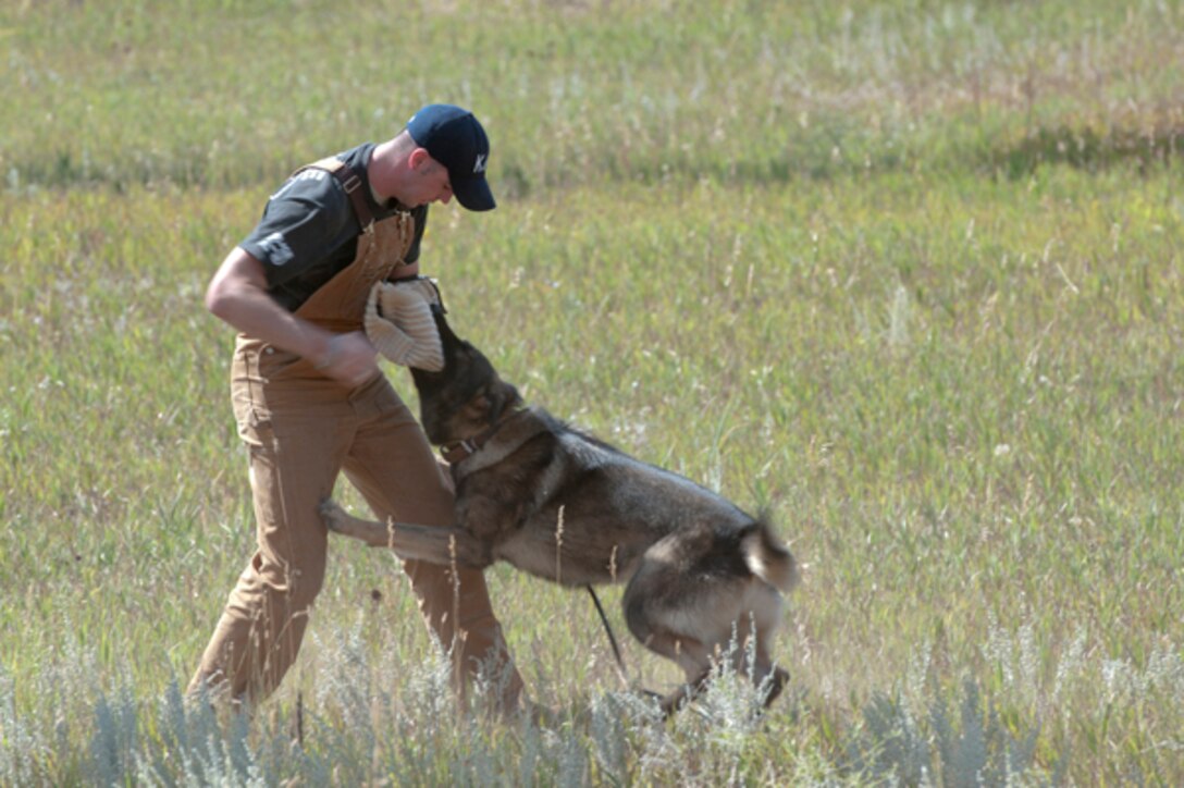 A member of the Air Force Security Police from Ellsworth Air Force Base demonstrates the use of military working dogs during an immersion experience at the South Dakota Coalition for Military Families providers symposium held at Camp Rapid, Rapid City, S.D., Sept. 12-13, 2013. The symposium brought together military and civilian care providers in a forum of support for all military members, veterans and their families. (Army National Guard photo by Staff Sgt. Michael Beck/RELEASED)
