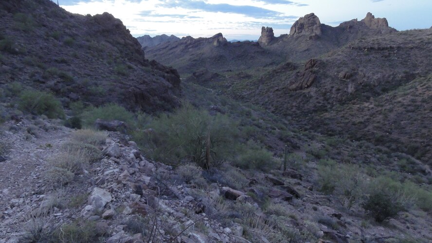 Early morning at Bender Springs Canyon in the Sand Tank Mountains at the eastern part of the Barry M. Goldwater Range-East in southwest Arizona.