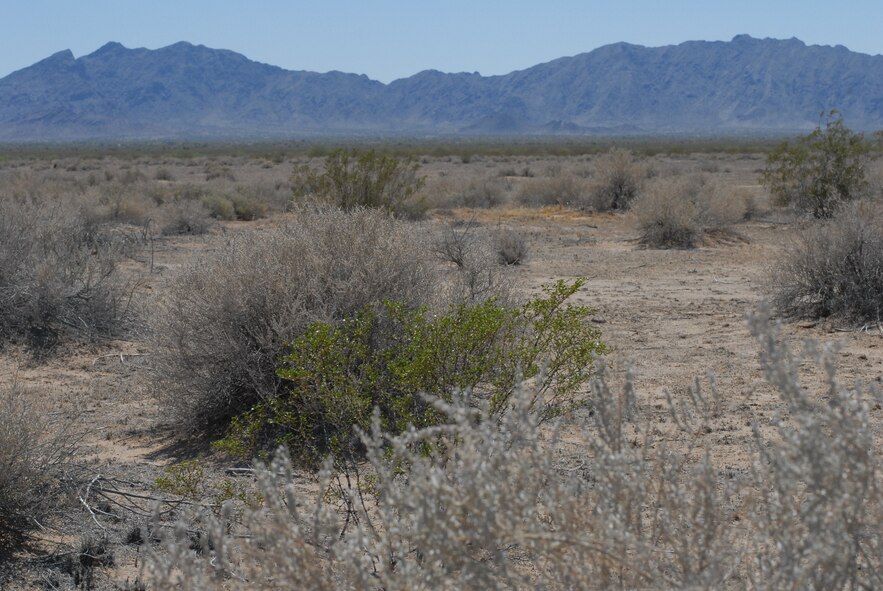 The San Cristobal Valley, in the western part of the Barry M. Goldwater Range-East in southwest Arizona, is home to significant species such as Le Conte's Thrasher and Kit Fox.