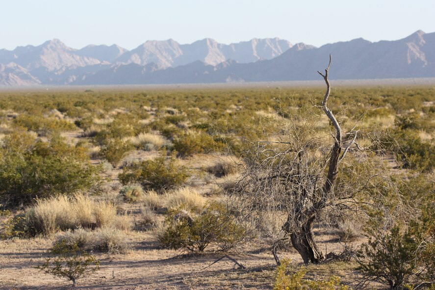 Typical of the Basin and Range geologic province, a wide flat valley interrupted by a narrow range of rugged mountains at the Barry M. Goldwater Range-East in southwest Arizona.   Photo: R. Whittle