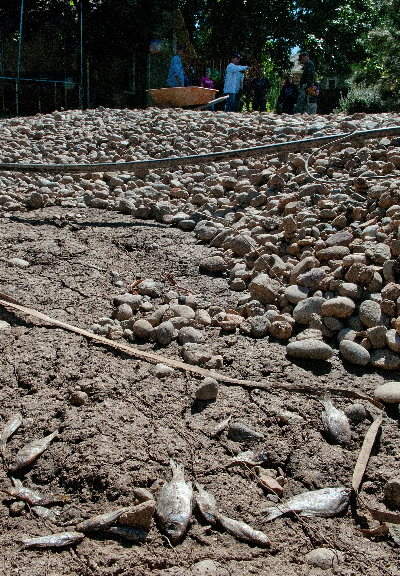 Dead fish and exposed irrigation piping litter backyards in a flood-ravaged Longmont, Colo., neighborhood Sept. 21, 2013. Airmen with the 90th Missile Wing, F.E. Warren Air Force Base, Wyo., volunteered to give up a day off to help the victims of the northern Colorado flood. (U.S. Air Force photo by R.J. Oriez)