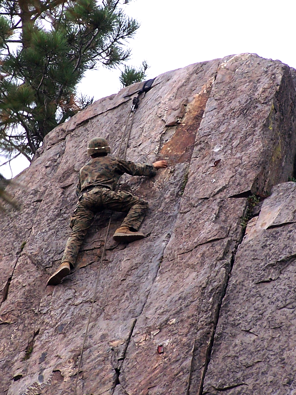 A Marine with 1st Battalion, 10 Marine Regiment, 2nd Marine Division scales a cliff face during mountaineering training while participating in Marine Corps Mountain Warfare Training from Aug. 14 through Sept. 14, 2013. More than 650 Marines and sailors, from 2nd Marine Division and 2nd Marine Logistics Group, as well as Canadian soldiers with Princess Patricia’s Canadian Light Infantry, took part in the month-long training conducted in Toiyabe National Forest, Calif.