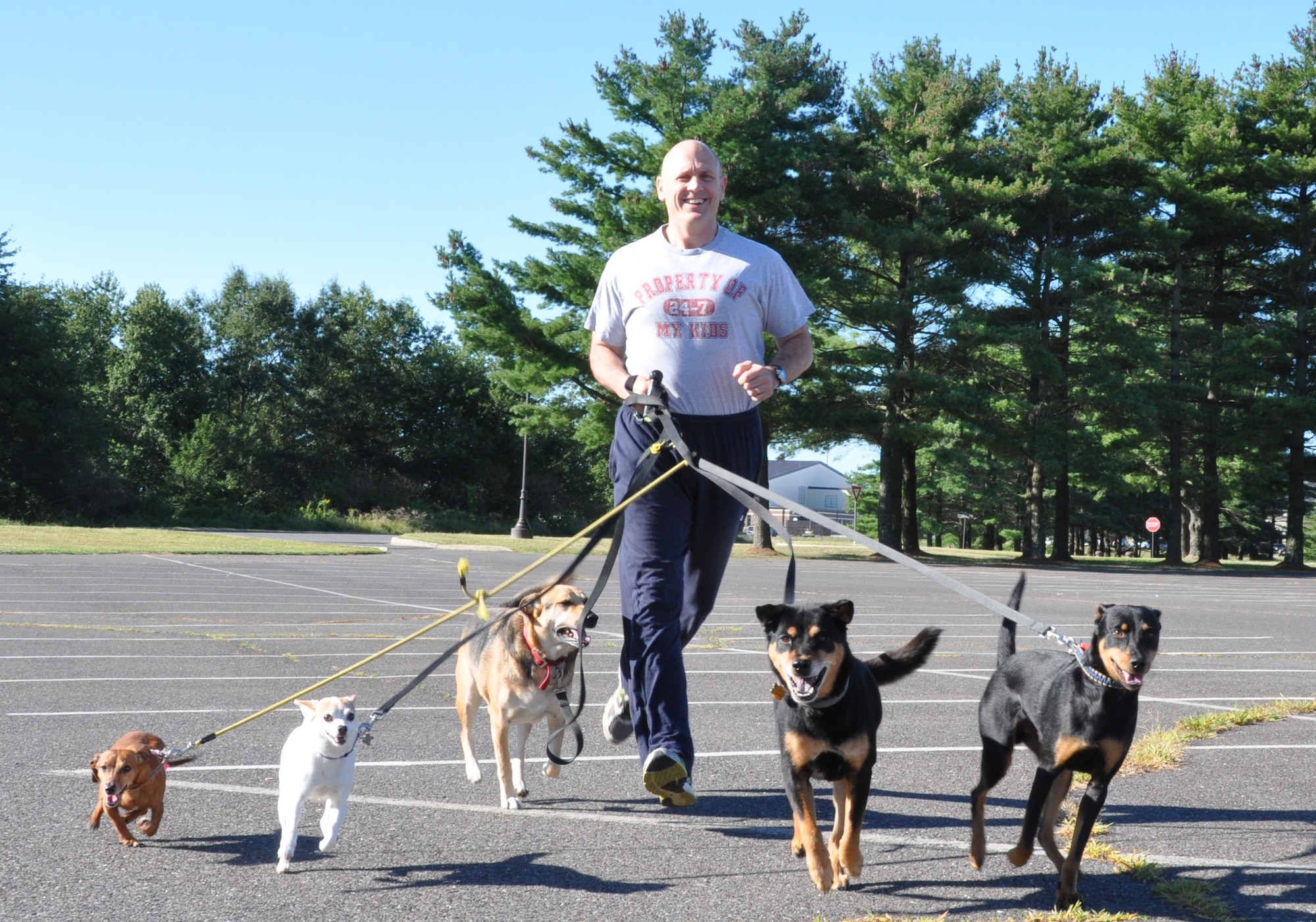 Lt. Col. Dean Owens, 514th Air Mobility Wing safety chief, and his five dogs enjoy a leisurely run Sept. 7, 2013, here. His brood of all rescue dogs run with their owner at various locations on base or local neighborhoods four times a week, drawing admirers and amazed spectators along the routes of their passages. (U.S. Air Force photo by Senior Airman Chelsea Smith/Released)

