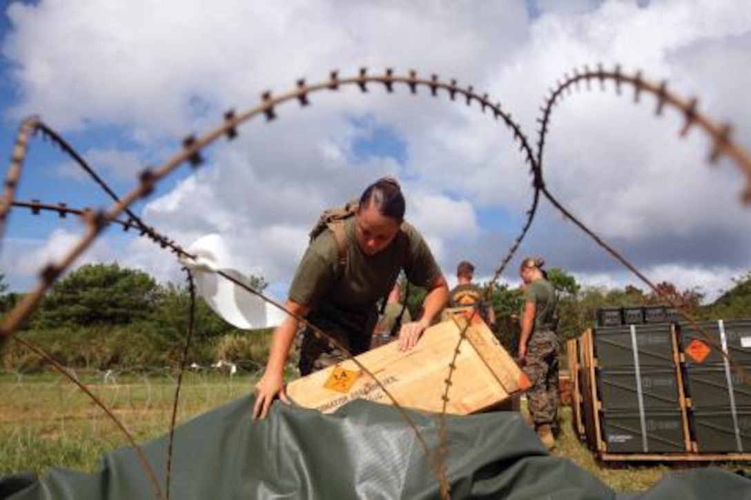 Lance Cpl. Mariah C. Redlo examines detonator assemblies during a field ammunition supply point exercise Sept. 18 at Landing Zone Dodo in the Central Training Area. Redlo is an ammunition technician with Ammunition Company, 3rd Supply Battalion, Combat Logistics Regiment 35, 3rd Marine Logistics Group, III Marine Expeditionary Force.


