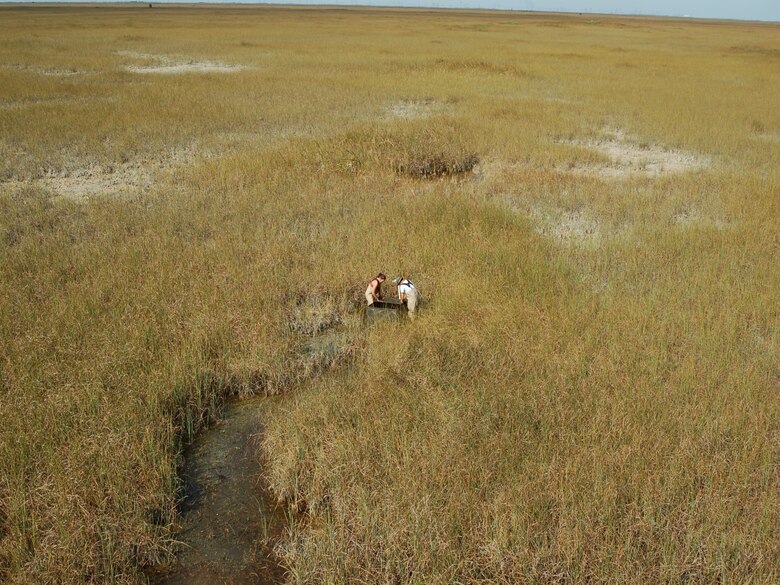 Monitoring is the primary tool used by RECOVER to assess CERP performance by determining if ecosystem responses are desirable, if progress is being made toward interim goals and targets, and whether refinement of CERP implementation is needed.