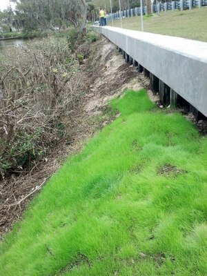 Now that the project is completed, shorelines and adjacent roadways are protected. The evacuation area and homes are protected from the bayous.