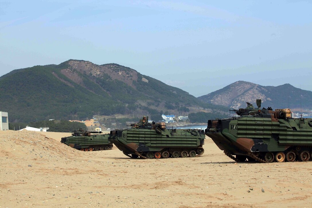U.S. Marine Corps Amphibious Assault Vehicles line the beach during an amphibious training raid during Exercise Ssang Yong 14 March 31, 2014. Exercise Ssang Yong is conducted annually in the Republic of Korea to enhance the interoperability of U.S. and ROK forces by performing a full spectrum of amphibious operations while showcasing sea-based power projection in the Pacific. (Official U.S. Marine Corps photo by Sgt. Christopher O’Quin/Released)