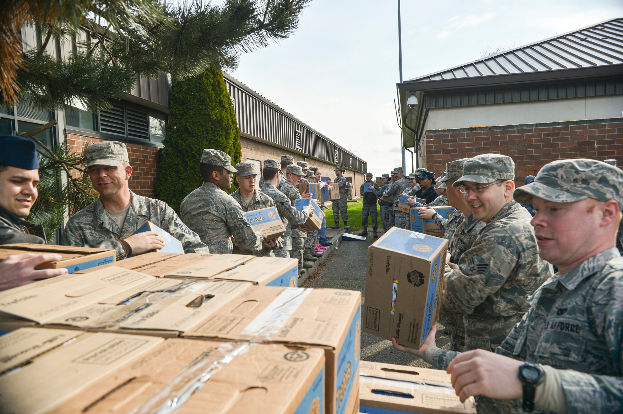 A group of McChord Airmen line up to help the USO download and distribute Girl Scout Cookies, Apr. 1, 2014 at Joint Base Lewis-McChord, Wash. Each year the USO receives trucks full of donated Girl Scout Cookies that they distribute to families throughout JBLM. (U.S. Air Force photo by Staff Sgt. Russ Jackson)