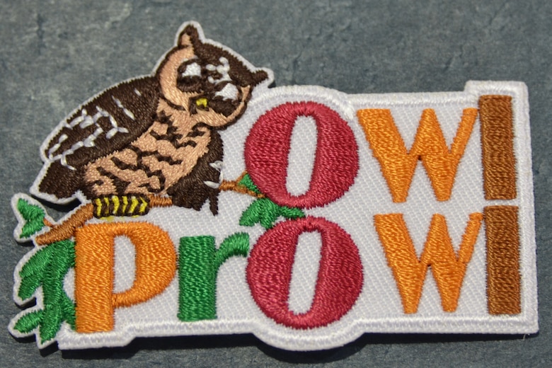ALBUQUERQUE, N.M., -- The special Owl Prowl badge that the Scouts earned as a result of working on the Burrowing Owl project with the Corps and AMAFCA.