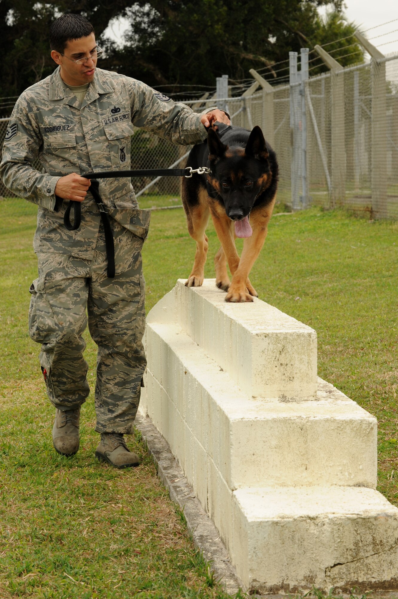 U.S. Air Force Staff Sgt. Ralph Rodriguez, 18th Security Forces Squadron military working dog handler, walks Dax, 18th SFS MWD, on the catwalk during the obstacle course on Kadena Air Base, Japan, March 28, 2014. The obstacle course consists of nine obstacles including balance, heights, jumping over boards and crawling through tunnels. (U.S. Air Force photo by Airman 1st Class Hailey R. Staker) 