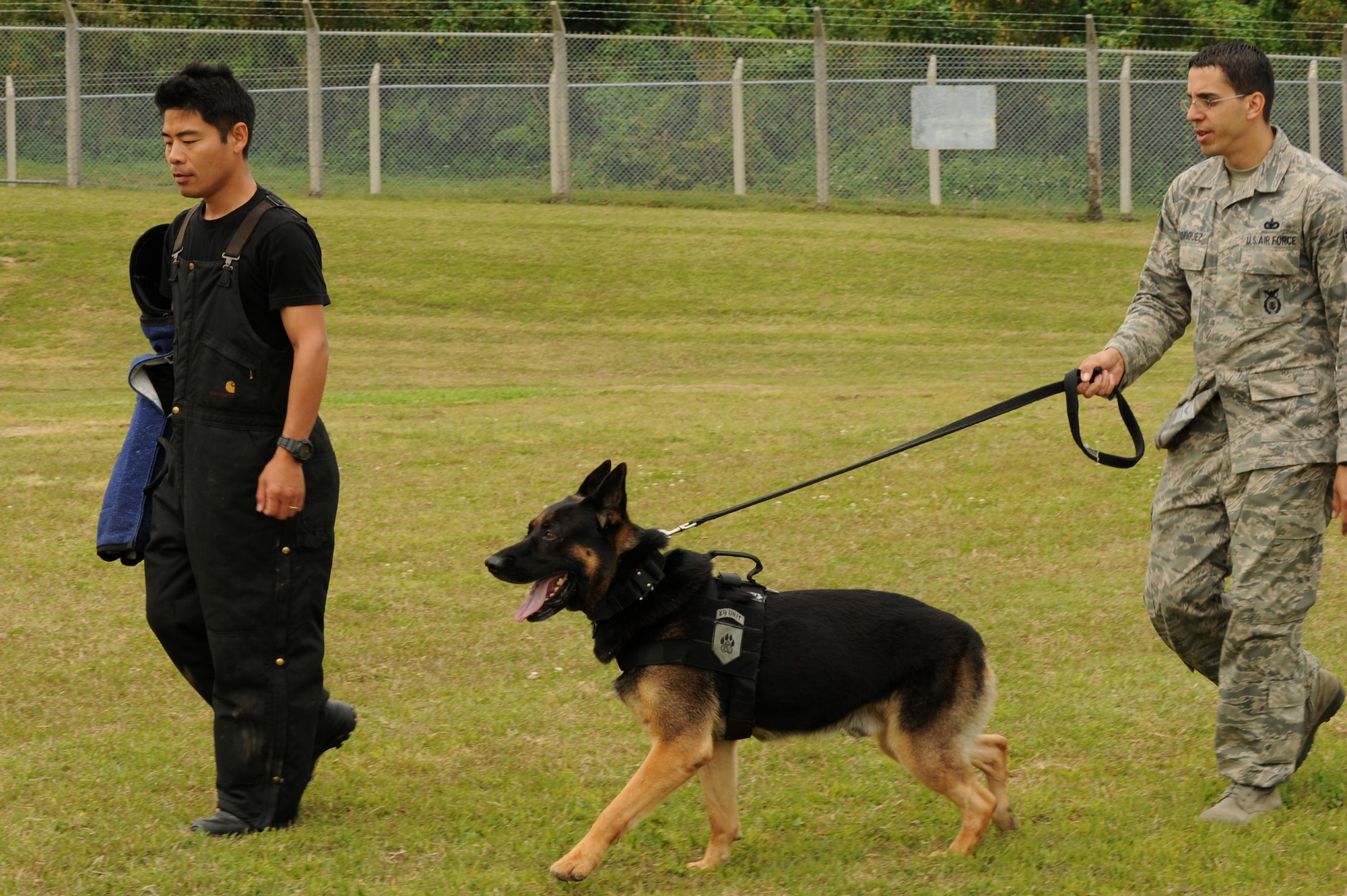 Dax, 18th Security Forces Squadron military working dog, and Staff Sgt. Ralph Rodriguez, 18th SFS MWD handler, walk beside Civilian Guard Shitetsu Hirata, 18th SFS kennel assistant, during control aggression training on Kadena Air Base, Japan, March 28, 2014. Dax had been put on medical hold after injuring his tail, which resulted in a procedure to remove it, as well as getting sick after the procedure. Once he was removed from medical hold, he had passed the time allotted for him to be trained, and was unable to be certified by Joint Base San Antonio-Lackland, Texas. Dax was then brought to Kadena under the condition Kadena trained and certified him. (U.S. Air Force photo by Airman 1st Class Hailey R. Staker)