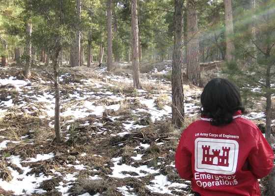 A member of the U.S. Army Corps of Engineers Los Angeles District’s team inspects the potential alignment of the possible location of a diversion levee in Mount Charleston, Nev. during a mission to the area March 11. The District sent a team consisting of members from the Hydrology and Hydraulics, Design, Geotech and Regulatory branches to make an assessment of the danger to life and property to a community downhill from a fire-burned slope after receiving a request for assistance from representatives of the State of Nevada. 