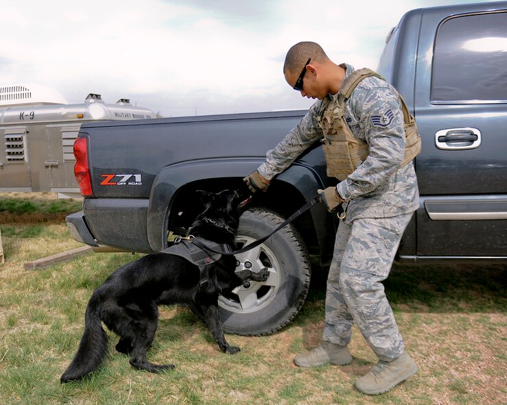 U.S. Air Force Staff Sgt. Andre Hernandez, 7th Security Forces Squadron military working dog handler, and MWD Ivan perform a search for a simulated bomb on a vehicle April 2, 2014, at Dyess Air Force Base, Texas. The 7th SFS military working dogs specialize in detecting explosives. Through a community partnership, they work with local law enforcement and share each other’s resources.  When the time arises, both local and base personnel are prepared to work together to complete their mission. (U.S. Air Force photo by Airman 1st Class Kedesha Pennant/Released)