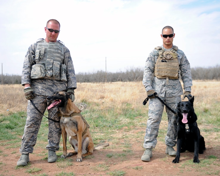 U.S. Air Force Staff Sgt. Sean Davis, left, and Staff Sgt. Andre Hernandez, both military working dog handlers from the 7th Security Forces Squadron, stand with their K-9s Forde and Ivan April 2, 2014, at Dyess Air Force Base, Texas. Davis and Hernandez were two of the responders at the recent bomb threat in downtown Abilene, Texas. Military working dog handlers work in pairs during operations; one serves as the dog handler and the other as a spotter to ensure efficiency.  (U.S. Air Force photo by Airman 1st Class Kedesha Pennant/Released)