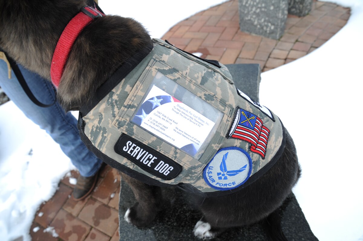 Dog vests for vets online
