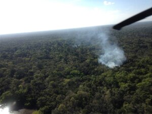 A marijuana field burns during a joint marijuana eradication operation between Joint Task Force-Bravo and Belizean forces.  The operation, which lasted March 15-20, 2014, resulted in the Belizean government destroying 34 marijuana fields and approximately 57,283 mature marijuana plants for an initial estimated value of $29 million.  In addition, the team also found and destroyed 25 pounds of marijuana seeds.  Joint Task Force-Bravo provided aviation support, on-call casualty evacuation and caving ladder training for 52 Belizean personnel who participated in the operation.  (Courtesy photo)