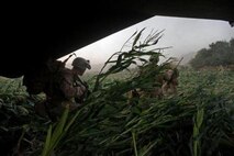 U.S. Marines with Golf Company, 2nd Battalion, 8th Marines, Regimental Combat Team 7 and Afghan National Security Forces, run out of a CH-53E Super Stallion aircraft, assigned to Marine Heavy Helicopter Squadron 461 (HMH-461), in the Helmand province, Afghanistan, Aug. 20, 2013. HMH-461 provided aerial support for Marines with Golf Company, 2nd Battalion, 8th Marines, Regimental Combat Team 7 and Afghan National Security Forces during an International Security Assistance Force and North Atlantic Treaty Organization operation. (U.S. Marine Corps photo by Sgt. Gabriela Garcia/Released)