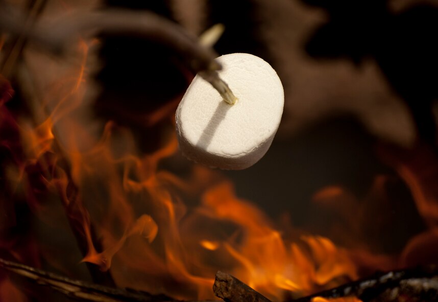 140404-F-GZ967-044 Children cook a marshmallow over an open flame April 4 as Outdoor Recreation’s BRAT camp comes to a close. After five days of outdoor adventures, the BRAT camp concluded with a peaceful day at the Base Lakes. (U.S. Air Force photo by Airman 1st Class Brandon Valle)