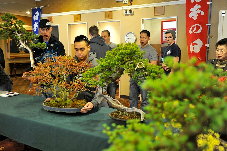 MISAWA AIR BASE, Japan –Misawa Airmen help set up a Bonsai display table at the Misawa Collocated Club, April 5, 2014. The art of Bonsai tree growing reflects the balance of simplicity and harmony found in nature. More than 200 base members volunteered their time to set up over 50 displays for Japan Day 2014. (U.S. Air Force photo/Staff Sgt. Tong Duong) 