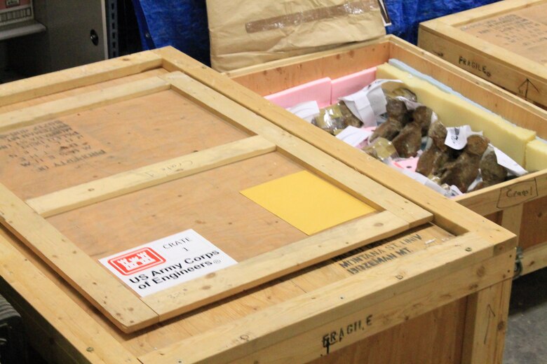 Tyrannosaurus Rex fossils belonging to the U.S. Army Corps of Engineers are prepared for shipping cross-country in a 50 year loan to the Smithsonian Institute. The U.S. Army owns two T. Rex fossils in a collection of artifacts managed by the Corps’ Mandatory Center of Expertise for the Curation and Management of Archaeological Collections in St. Louis.