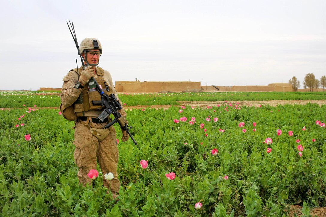 U.S. Marine Corps 1st Lt. James Salka provides security during a patrol in Helmand province, Afghanistan, March 27, 2014. Salka, a platoon commander, is assigned to Bravo Company, 1st Battalion, 9th Marine Regiment.