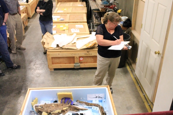 Physical Anthropologist, Cathy Van Arsdale from the Mandatory Center of Expertise for the Curation and Management of Archaeological Collections in the St. Louis District, documents the condition of the arm bone and upper jawbone of the Wankel T.rex. She notes the condition of each element, which will be rechecked upon the collection's arrival in Washington D.C. at the Smithsonian's National Museum of Natural History