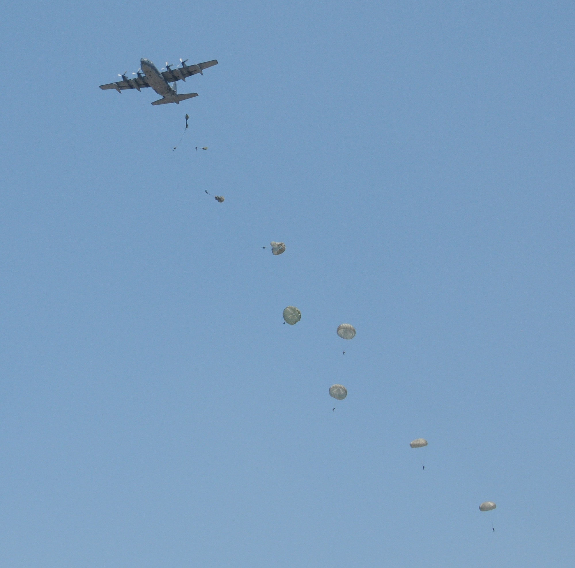 Honduran 2nd Combat Airborne Infantry Battalion paratroopers line the sky after departing a C-130 Hercules aircraft during a joint airborne operations training jump with the 7th Special Forces Group at Soto Cano Air Base, Honduras on April 3, 2014.  The 1,500 foot static line jump allowed members from both nations to retain currency, while also strengthening the relationship between the U.S. and Honduran forces.  (Photo by U. S. Air National Guard Capt. Steven Stubbs)
