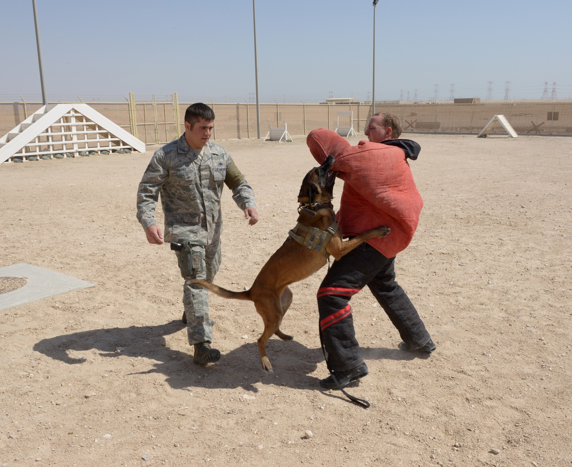 Military working dog Iggy, handled by Staff Sgt. Zach Cahall, bites down on Senior Airman Alexander Nutting during MWD demonstration at  Al Udeid Air Base, Qatar, April 5, 2014. Military working dogs are trained to bite and hold onto the suspect until their handler gives the command to release. Both Airmen are the 379th Expeditionary Security Force Squadron MWD handlers. Cahall is a Cinccinati, Ohio, native deployed from Dover Air Force Base, Del. Nutting is a a Savage, Minn., native deployed from Moody Air Force Base, Ga. (U.S. Air Force photo/Senior Airman Hannah Landeros)