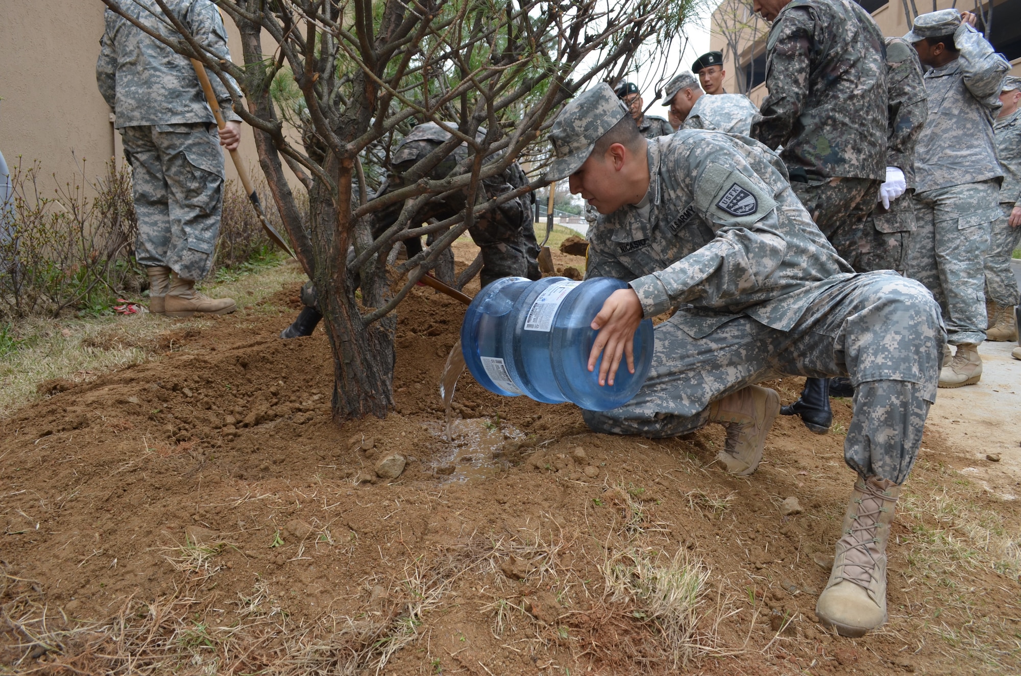 OSAN AB, Republic of Korea -- Spc. Brian Nicasio, a transportation management coordinator assigned to 3rd Battlefield Coordination Detachment - Korea and native of Pittsburg, Calif., hydrates a pine tree sapling during an Arbor Day celebration held at the 35th Air Defense Artillery Brigade headquarters April 11, 2014. The 3rd BCD-K is a combined and joint detachment responsible for synchronization of air power and ground maneuvers during armistice and war. (Photo by Staff Sgt. Heather A. Denby, 35th ADA Public Affairs)