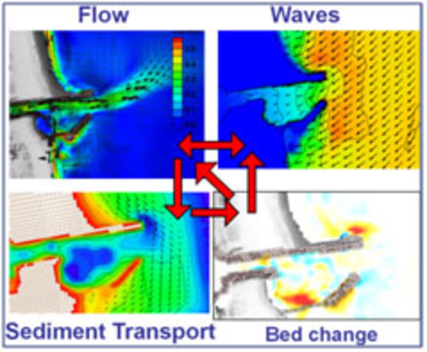 Coastal processes simulated by the CMS.