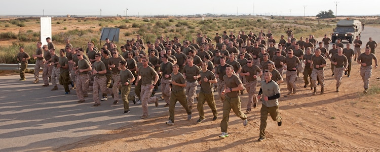 22nd MEU, IDF complete Exercise Noble Shirley 2014 > 22nd Marine ...