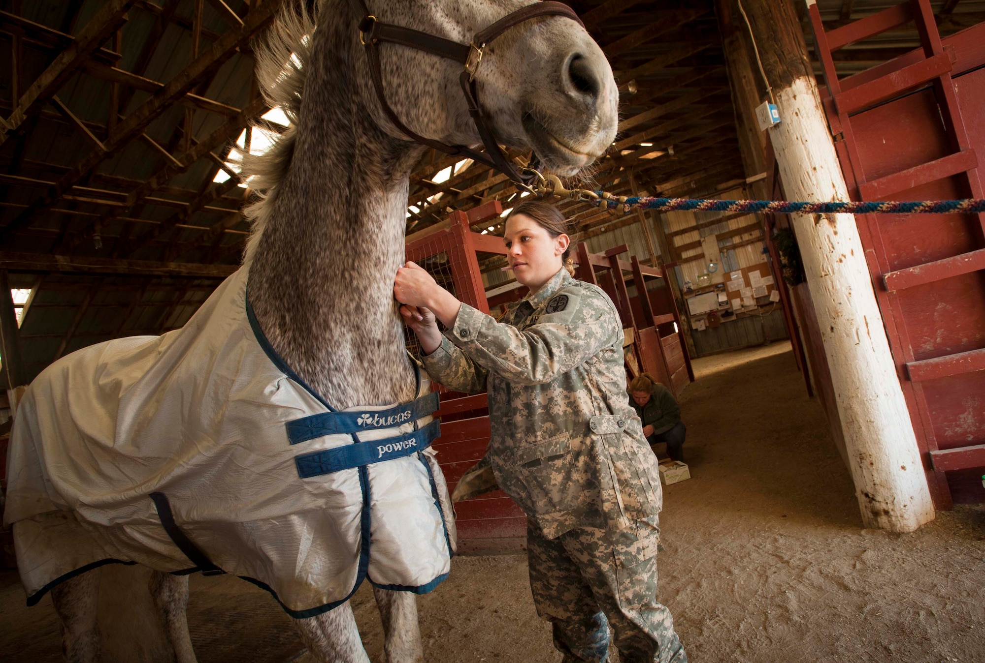 U.S. Army Capt. Jessica Wilkinson, 5th Medical Operations Squadron veterinarian, vaccinates a horse at the Dufresne Riding Club at Minot Air Force Base, N.D., April 7, 2014. Horses at Minot AFB are required to be vaccinated twice a year per Army veterinary regulations. (U.S. Air Force photo/Airman 1st Class Apryl Hall)
