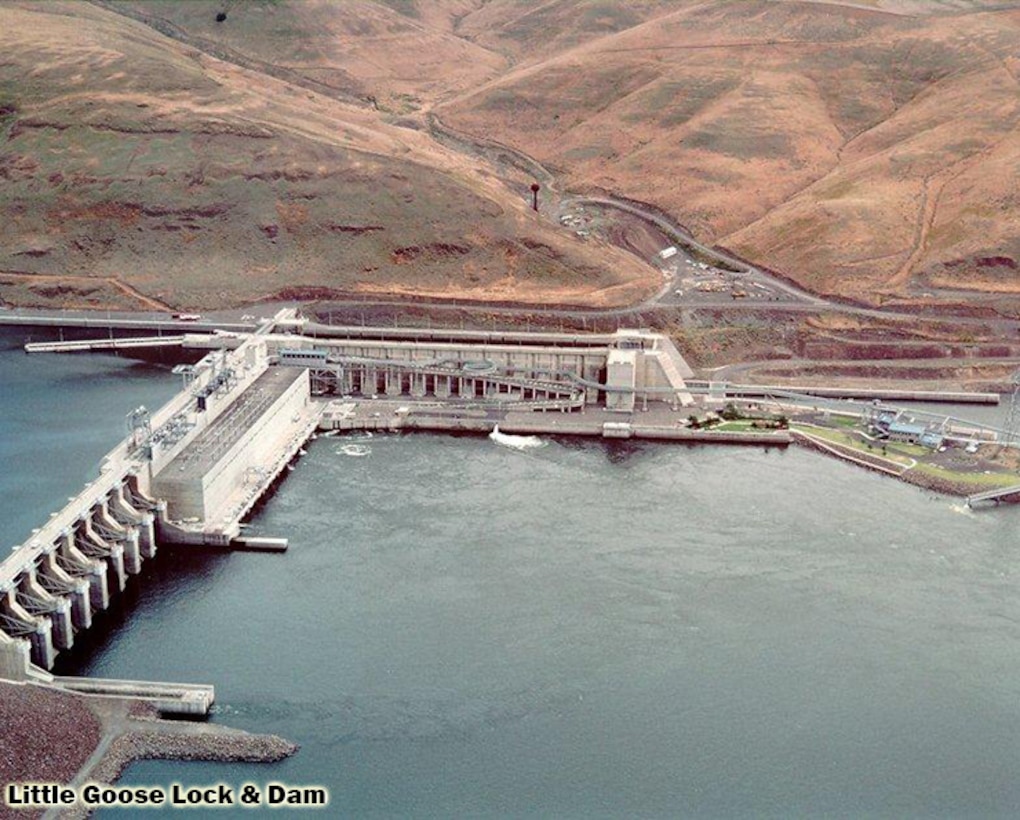This congressionally authorized project includes a dam, navigation lock, power plant, fish ladder and appurtenant facilities. It provides navigation, hydroelectric power generation, recreation and incidental irrigation. The dam is 2,655 feet long with an effective height of about 100 feet. It is located on the Snake River near Starbuck, Wash., and upstream of Lake West, the reservoir formed by Lower Monumental Dam. It is a concrete gravity dam with an earthfill abutment embankment. It includes a navigation lock and eight-bay spillway 512 feet long, which has eight 50 feet by 60 feet tainter gates. 