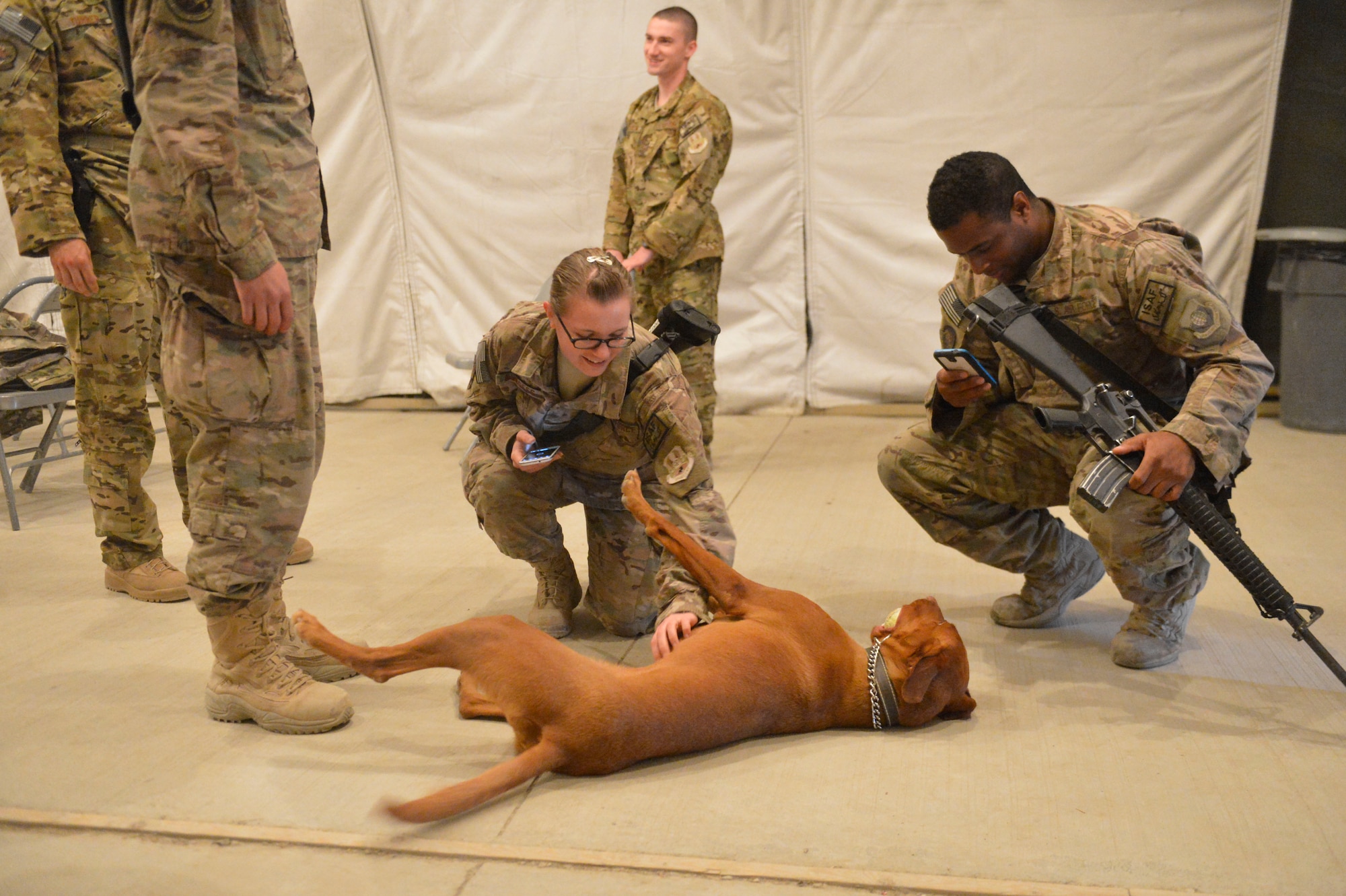U.S. Air Force Senior Airman Nicole Burgess pets Major Eden, the combat stress assistance dog, at a Combat Stress seminar held at Bagram Airfield, Afghanistan, April 5, 2014. The seminar was presented by the 455th Airmen Committed to Excellence group.(U.S. Air Force photo by Senior Master Sgt. Gary J. Rihn/Released)