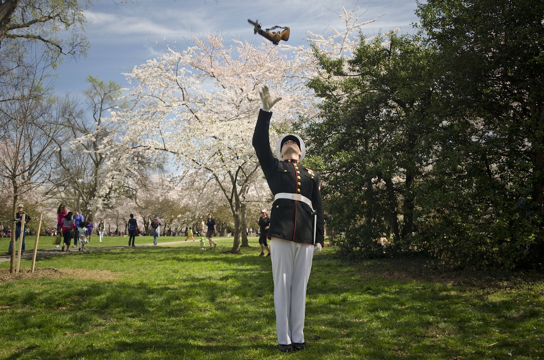 U.S. Marine Corps Pfc. Matthew Evans, a member of the Marine Corps Silent Drill Platoon and a native of Whitehall, N.Y., practices rifle maneuvers before a performance at the Thomas Jefferson Memorial during the Cherry Blossom Festival in Washington D.C., April 13, 2014. The Silent Drill Platoon travels across the country and the world showcasing close-order drill and the precision for which the Marine Corps is known. (U.S. Marine Corps photo by Sgt. Bryan Nygaard/Released)