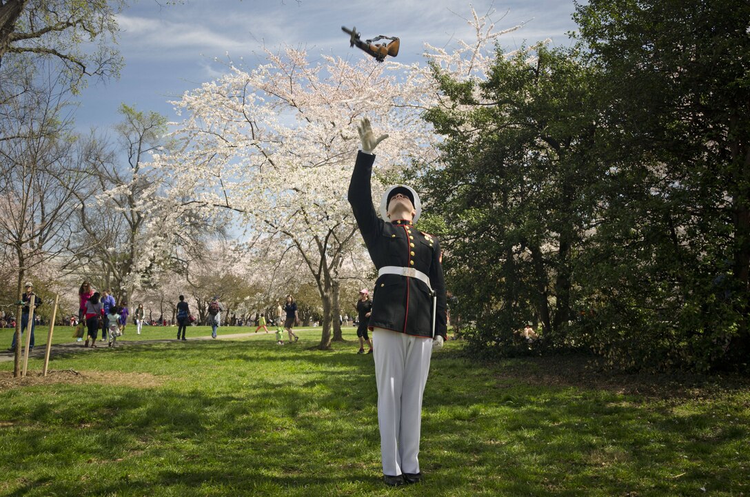 U.S. Marine Corps Pfc. Matthew Evans, a member of the Marine Corps Silent Drill Platoon and a native of Whitehall, N.Y., practices rifle maneuvers before a performance at the Thomas Jefferson Memorial during the Cherry Blossom Festival in Washington D.C., April 13, 2014. The Silent Drill Platoon travels across the country and the world showcasing close-order drill and the precision for which the Marine Corps is known. (U.S. Marine Corps photo by Sgt. Bryan Nygaard/Released)