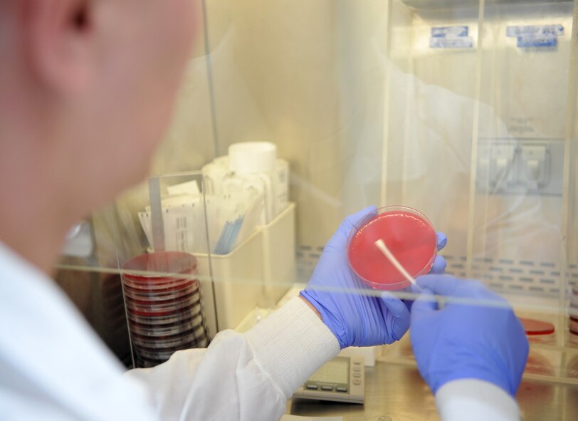 Staff Sgt. Grant Wendland, 51st Medical Support Squadron medical laboratory technician, streaks out a streptococcal pharyngitis, or strep throat, culture plate as part of a rapid strep test in the 51st Medical Group at Osan Air Base, Republic of Korea, April 17, 2014. The 51st MDG’s laboratory is staffed by a 10-person team that supports healthcare providers in their treatment of diseases. (U.S. Air Force photo/Airman 1st Class Ashley J. Thum) 
