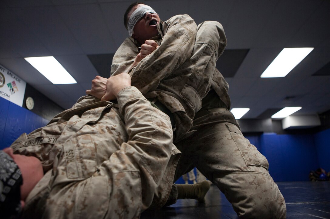 Sgt. Forrest Holden and Cpl. Austin Ross, students with the Marine Corps Martial Arts Instructor Course, ground fight during an instructional period where the students learn how to properly instruct and referee ground fighting, March 26, 2014. Marines from commands surrounding Fort George G. Meade, Md., attended the course March 14 through April 4. The students also learned how to instruct and referee free sparing and boxing. The instructor trainers stood by to ensure the students properly instructed the bouts.