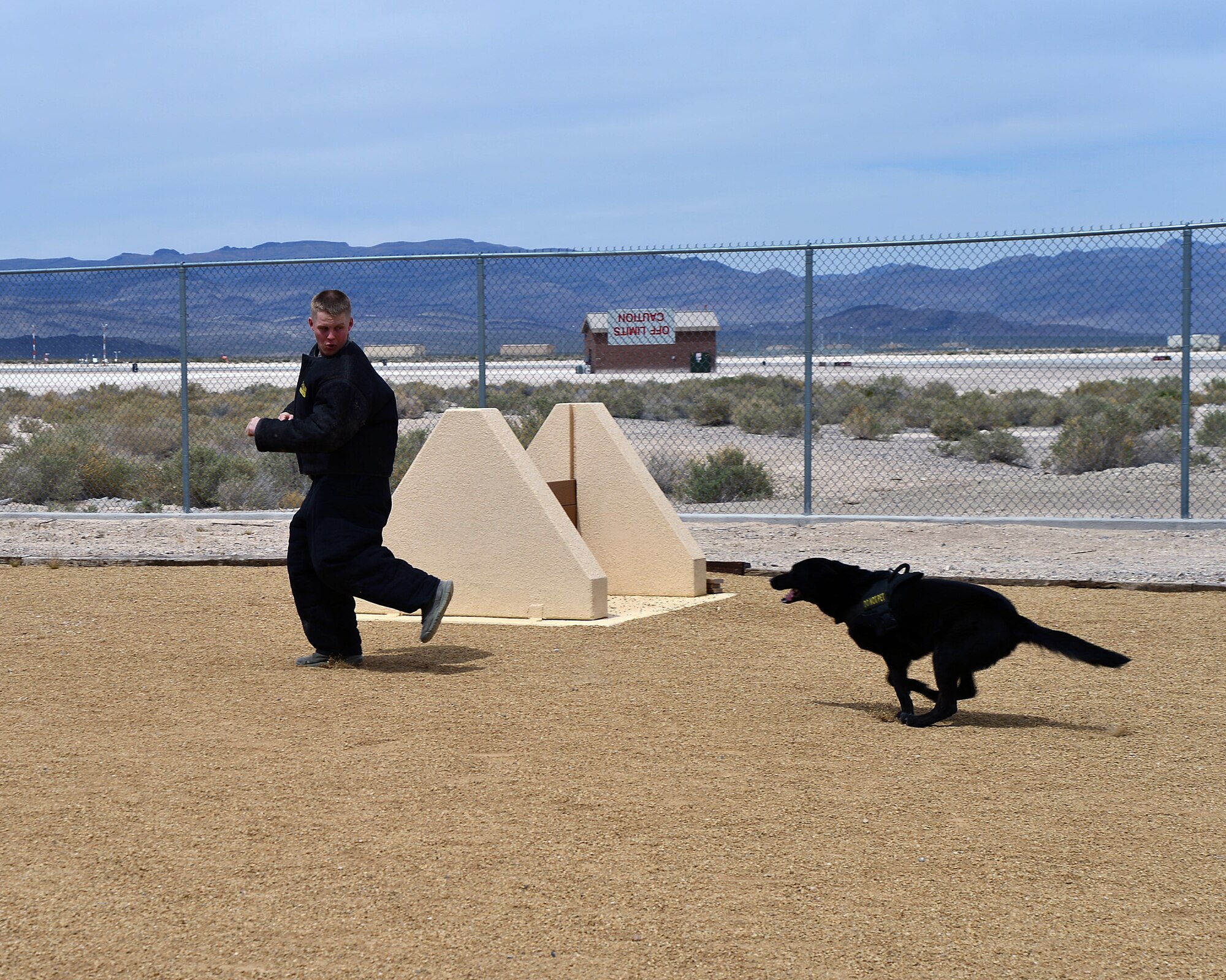 Cadet 3rd Class Conner Crawford, U.S. Air Force Academy cadet, runs from a military working dog during a bite training event April 11, 2014. The cadets visited Creech Air Force Base, Nev., April 11 as part of an Academy sponsorship program that pairs cadet squadrons with operational wings throughout the Air Force. (U.S. Air Force Photo by Tech. Sgt. S.E./Released)