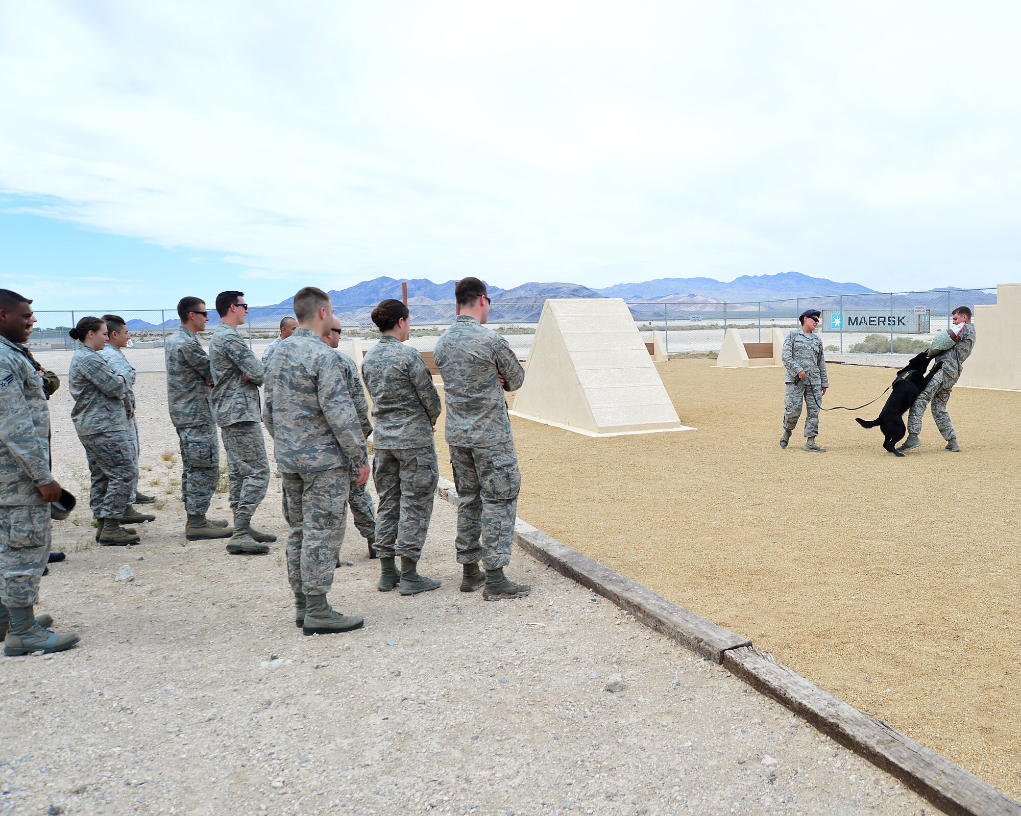 U.S. Air Force Academy cadets observe a military working dog training event while visiting Creech Air Force Base, Nev., April 11, 2014 as part of an Academy sponsorship program that pairs cadet squadrons with operational wings throughout the Air Force.  (U.S. Air Force Photo by Tech. Sgt. S.E./Released)
