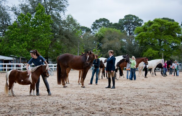 A variety of horses are shown to the crowd during the Sand and Spur Riding Club open house event April 20 at Eglin Air Force Base, Fla.  The club provided pony rides for kids and riding and training demonstrations. Those who attended got an up close and hands-on experience with many of the different breeds of horses housed at the stables on base. (U.S. Air Force photo/Samuel King Jr.)