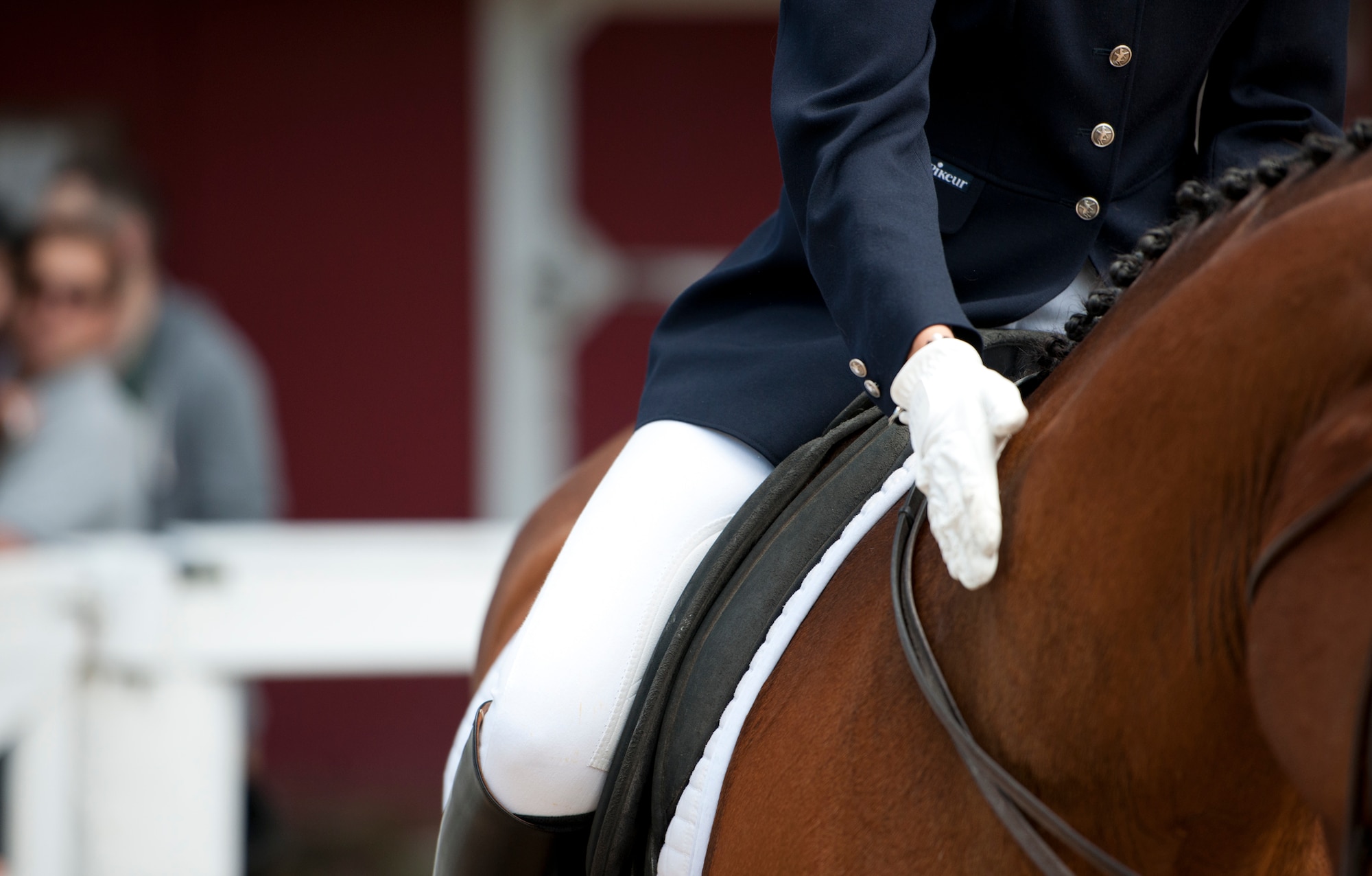 Visitors watch a dressage demonstration at the Sand and Spur Riding Club open house event April 19 at Eglin Air Force Base, Fla.  The club provided pony rides for kids and riding and training demonstrations. Those who attended got an up close and hands-on experience with many of the different breeds of horses housed at the stables on base. (U.S. Air Force photo/Samuel King Jr.)