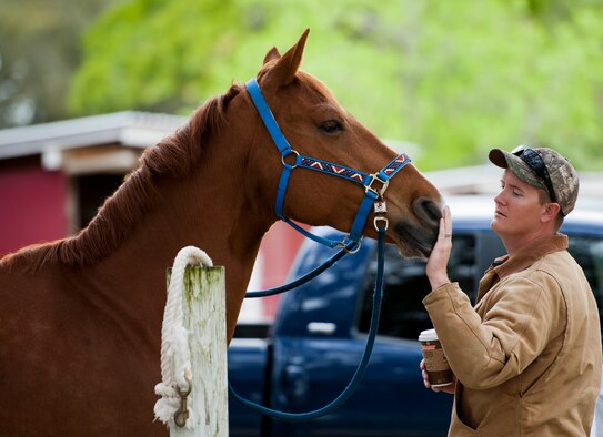 A horse gets a welcome pat on the nose from a visitor during the Sand and Spur Riding Club open house event April 19 at Eglin Air Force Base, Fla.  The club provided pony rides for kids and riding and training demonstrations. Those who attended got an up close and hands-on experience with many of the different breeds of horses housed at the stables on base. (U.S. Air Force photo/Samuel King Jr.)