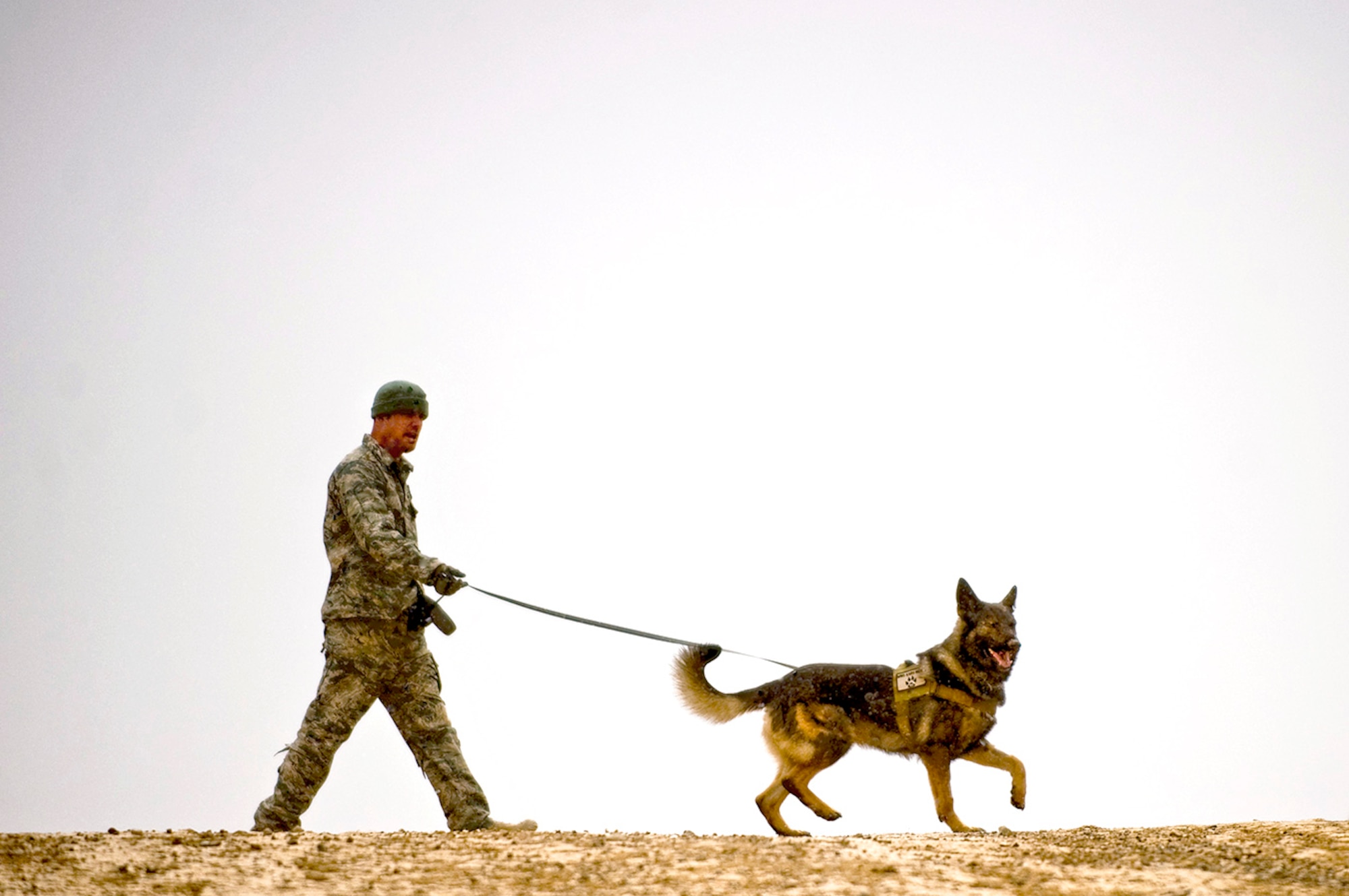 To keep military working dogs healthier and more comfortable during deployments, Armament Research, Development and Engineering Center engineers from Picatinny and Rock Island are developing kennels for environments with temperature extremes. The new, portable kennels will have a forced-air system that provides fresh air circulation inside the shelter in the absence of natural breezes, heated air during extreme cold and cooled air during extreme heat. (U.S. Army file photo)